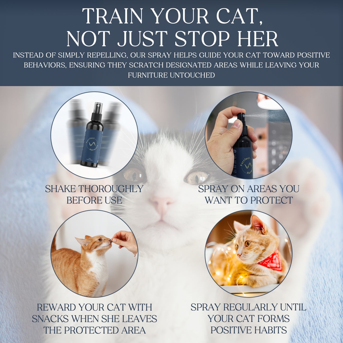 The Purrfect Harmony Natural Anti-Scratching Spray for Cats – Safe, Non-Toxic, Vet-Approved Cat Deterrent for Furniture & Home – Protects Your Sofas, Carpets & Wooden Surfaces – Eco-Friendly, No Harsh Chemicals - 100 ml