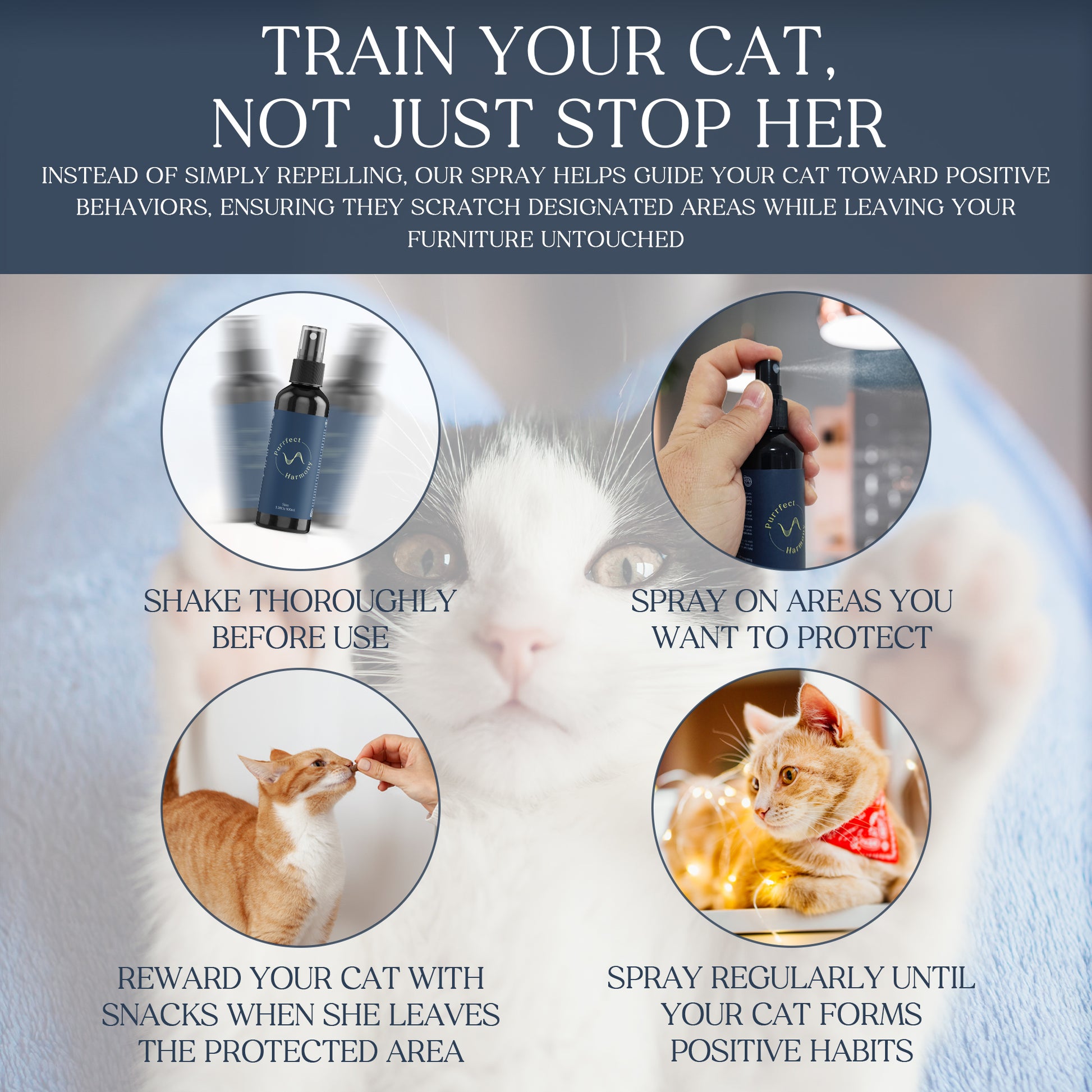 The Purrfect Harmony Natural Anti-Scratching Spray for Cats – Safe, Non-Toxic, Vet-Approved Cat Deterrent for Furniture & Home – Protects Your Sofas, Carpets & Wooden Surfaces – Eco-Friendly, No Harsh Chemicals - 100 ml