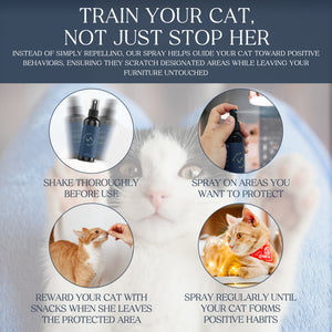 The Purrfect Harmony Natural Anti-Scratching Spray for Cats – Safe, Non-Toxic, Vet-Approved Cat Deterrent for Furniture & Home – Protects Your Sofas, Carpets & Wooden Surfaces – Eco-Friendly, No Harsh Chemicals - 100 ml