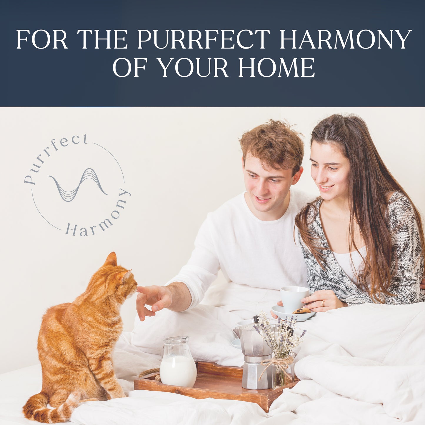 The Purrfect Harmony Natural Anti-Scratching Spray for Cats – Safe, Non-Toxic, Vet-Approved Cat Deterrent for Furniture & Home – Protects Your Sofas, Carpets & Wooden Surfaces – Eco-Friendly, No Harsh Chemicals - 100 ml